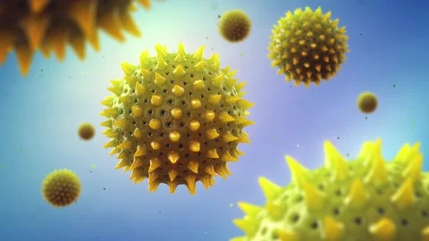 Pollen allergy is also known as hay fever or allergic rhinitis. Stock Footage 149209670