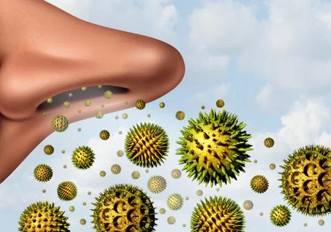 Pollen Allergy Concept Stock Illustration