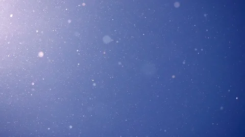Pollen and dust flying in the air like snowflakes against blue sky background Stock Footage