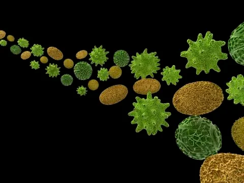 Pollen, artwork Stock Illustration