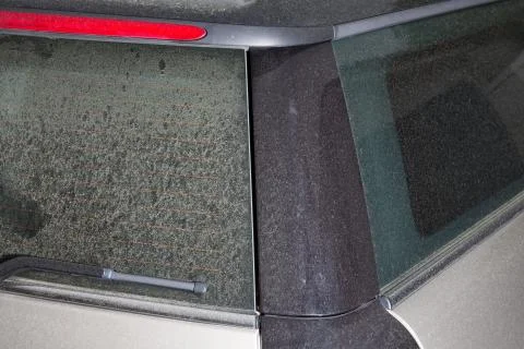Pollen on car during spring time , season of blooming flowers 库存照片