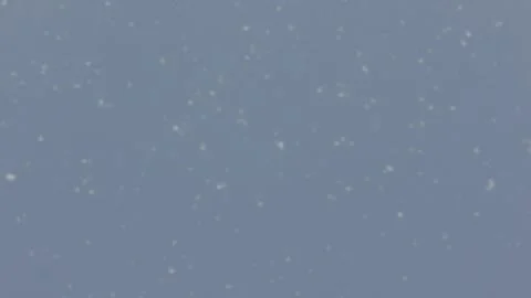 Pollen floating against blue sky Stock Footage 133465369