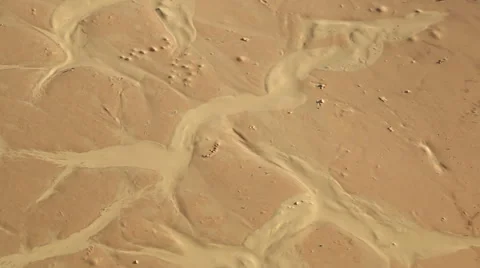 Pollen floating on water surface Stock Footage 42475014