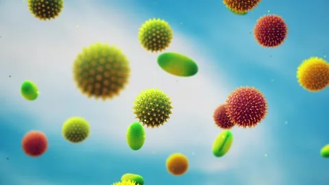 Pollen Stock Footage 284120244