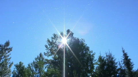 Pollen glow Stock Footage 329592