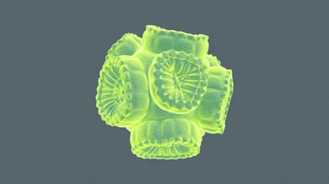 Pollen grain Stock Footage 27190053