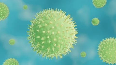 Pollen grains in the air Stock Footage 153430785