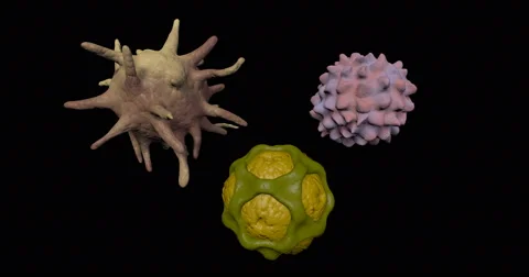 Pollen grains, bacteria, virus microbial structures extreme close up Stock-Footage 64866651