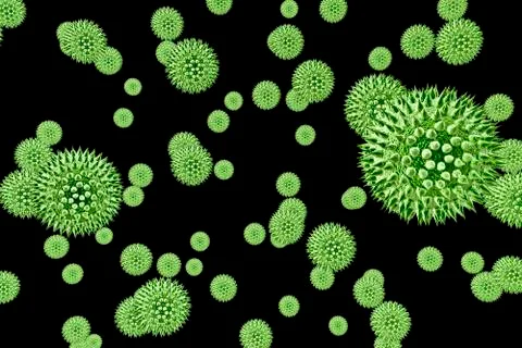 Pollen grains from different plants Illustrazione stock