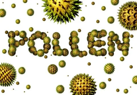Pollen Stock Illustration