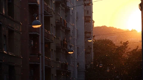 Pollen particles floating in the air among street lights and apartment Stock-Footage 118043264