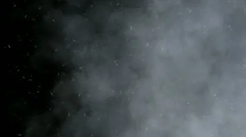Pollen seeds flying in a clouded sky Video stock 18192810
