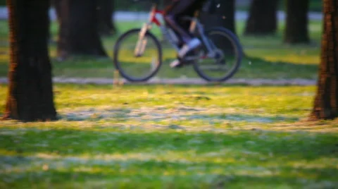 Pollen in spring and biked ride Stockbeeldmateriaal 698602