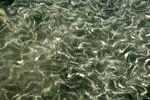 Pollen in the water Stock Photos
