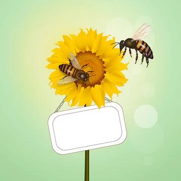 Pollination of bees Illustrazione stock