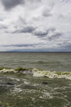 Pollutated water Foto stock