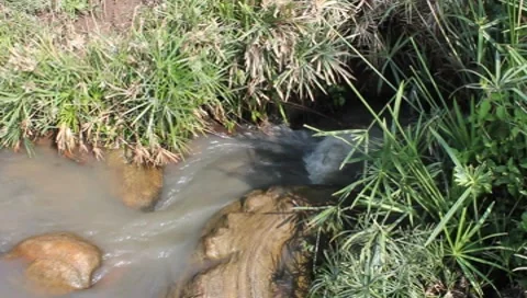 Polluted African Stream (HD) Stock Footage 7140629