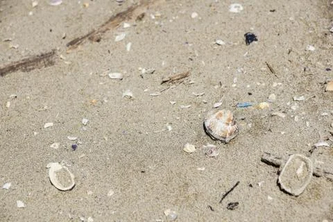 Polluted beach. Discarded plastic bottles and wastes on a beach . Stock Photos