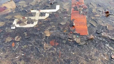 Polluted beach Stock Footage 143943564