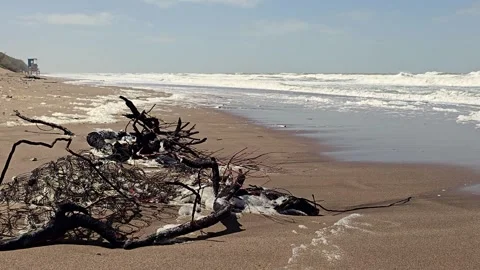 Polluted beach with garbage and sea foam Stock Footage 329570389