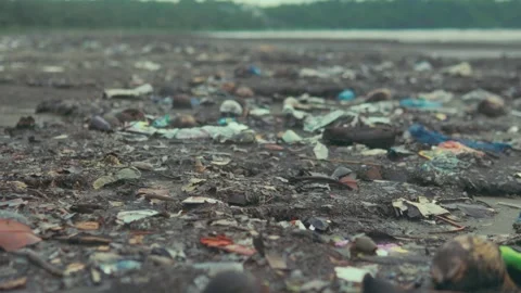 Polluted Beach Littered with Debris Reflects Environmental Challenges Видео 331659727