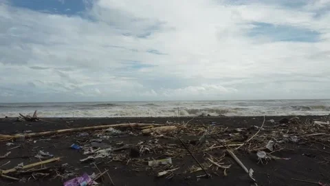 Polluted Beach - seashore with trash and garbage Video stock 234532146