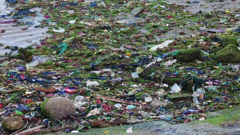 Polluted beach shoreline covered in plastic waste Stock Footage 338343477