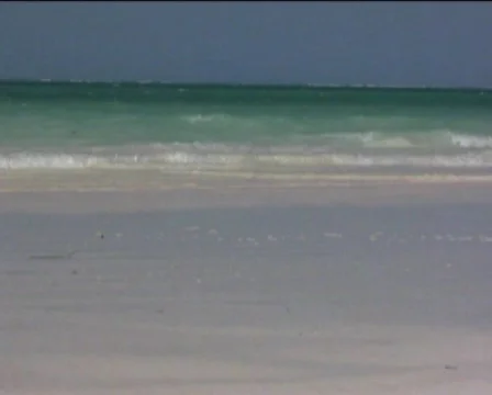 Polluted beaches.  Video stock 558099