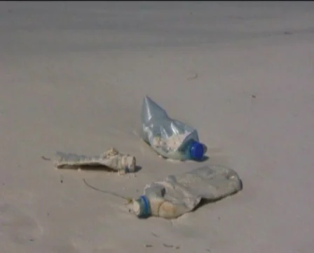 Polluted beaches. Stock Footage 558122