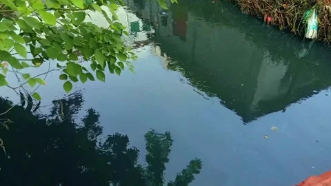 Polluted Canal Water Reflection Showing Debris and Pollution Stock Footage 287110367