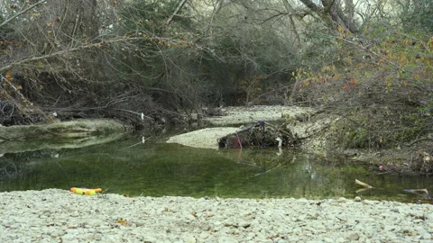 A polluted creek in the forest Stock Footage 145699776