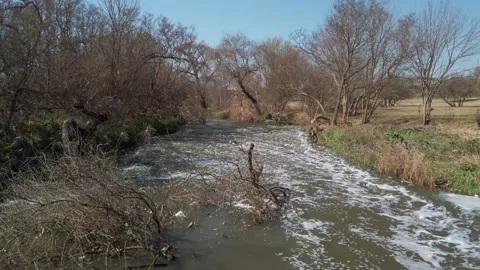 Polluted Dirty river with debris and dead trees flowing slowly Stock Footage 205069896