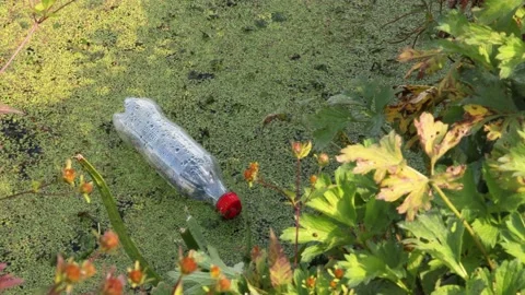 Polluted dirty standing water with plastic bottle on top Stock Footage 218138822