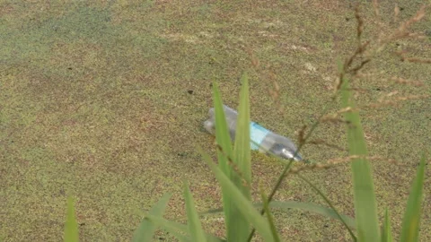 Polluted dirty standing water with plastic bottle on top Stock Footage 218138845