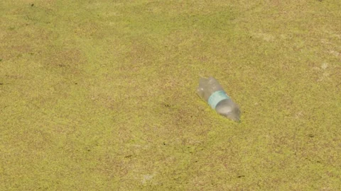 Polluted dirty standing water with plastic bottle on top Stock Footage 218138877