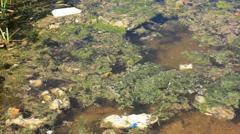 Polluted dirty water Stock Footage 49433461