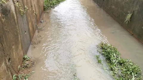 Polluted Drain Stock Footage 107654660