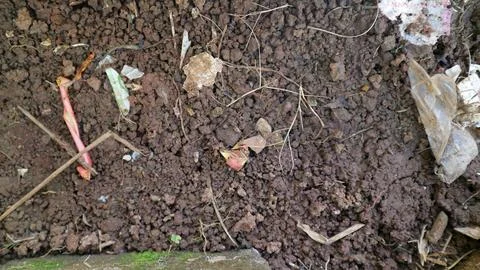 Polluted earth surface with plastic rubbish and organic waste, illustrating.. Stock Photos