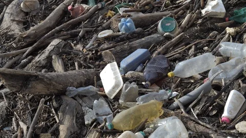 Polluted environment with plastic bottle and another garbage. 스톡 동영상 103939611