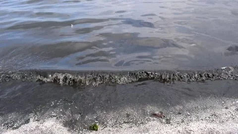 Polluted Garbage Beach Sea Ocean Water Stock Footage 207933121