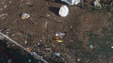 Polluted Harbor Surface with Floating Debris and Urban Waste Stock Footage 329401631