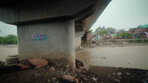 Polluted Indian River Stock-Footage 110828403