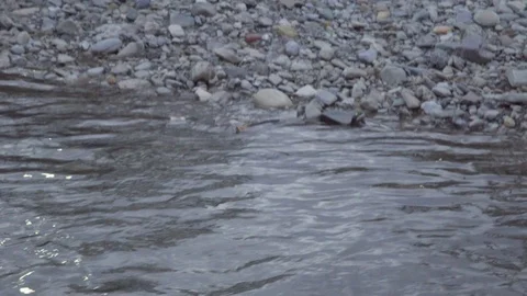 Polluted Indian River.Save rivers Stock Footage 110828305