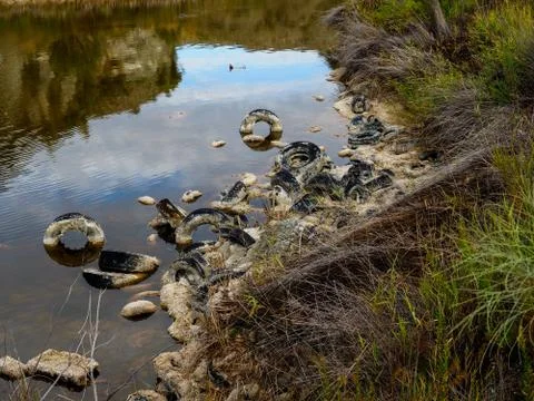 Polluted lagoon Stock Photos