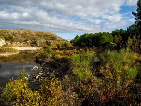 Polluted lagoon Stock Photos