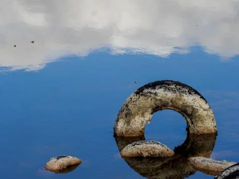 Polluted lagoon Stock Photos