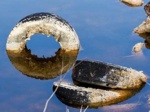Polluted lagoon Stock Photos