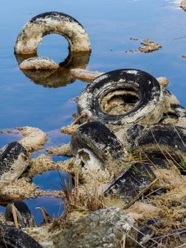 Polluted lagoon Stock Photos
