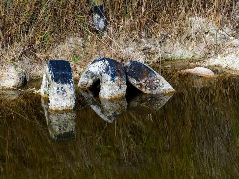 Polluted lagoon Stock Photos