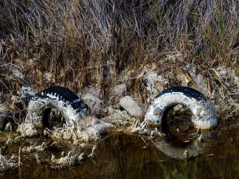 Polluted lagoon Stock Photos